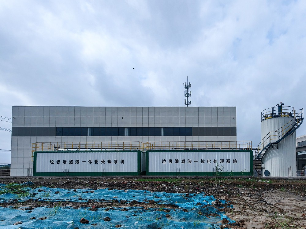 次氯酸鈉發(fā)生器在乳制品企業(yè)冰淇淋制作水消毒中的應用